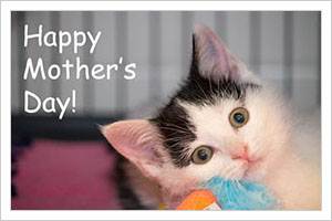 a mother's day greeting 